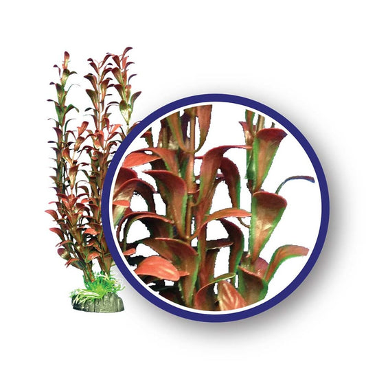 weco-freshwater-series-hygrophilia-aquarium-plant-red