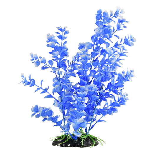 underwater-treasures-blue-moon-bog-plant