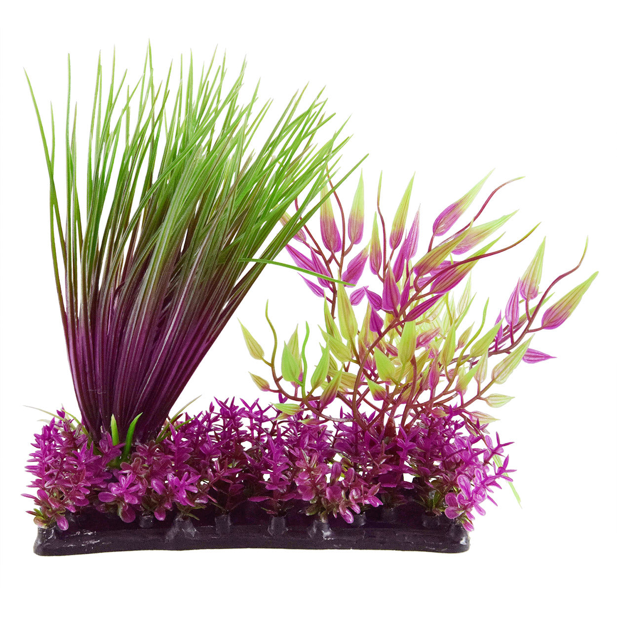 underwater-treasures-hairgrass-garden-mix