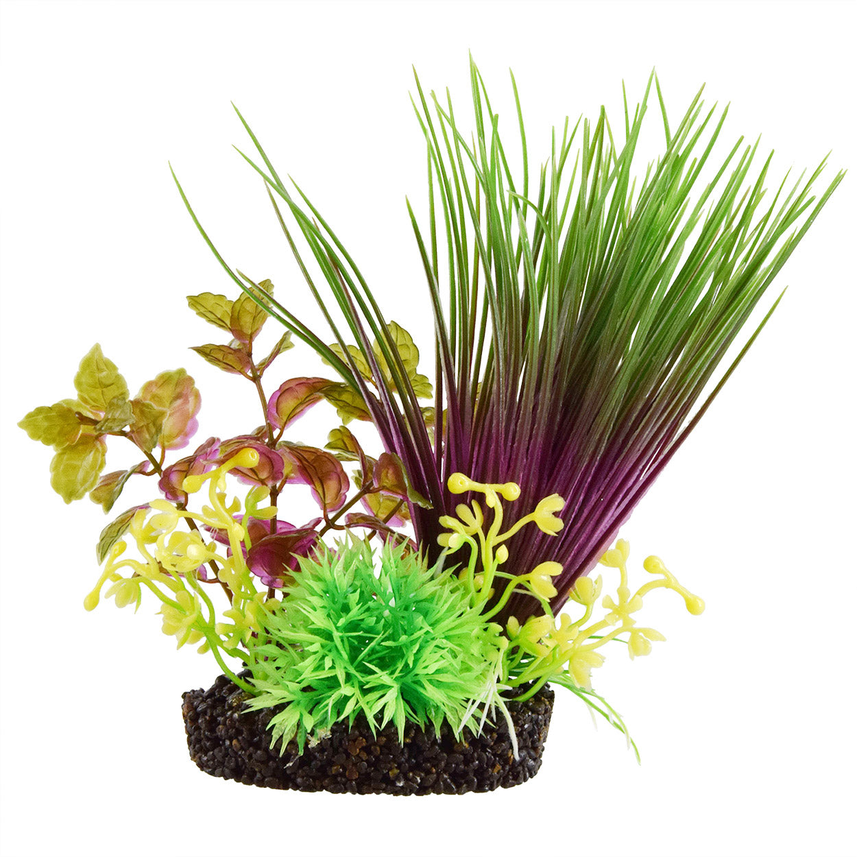 underwater-treasures-hairgrass-mound