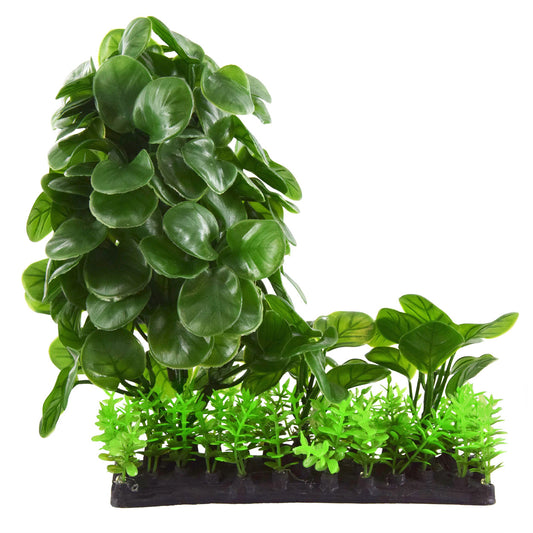 underwater-treasures-calathea-mound