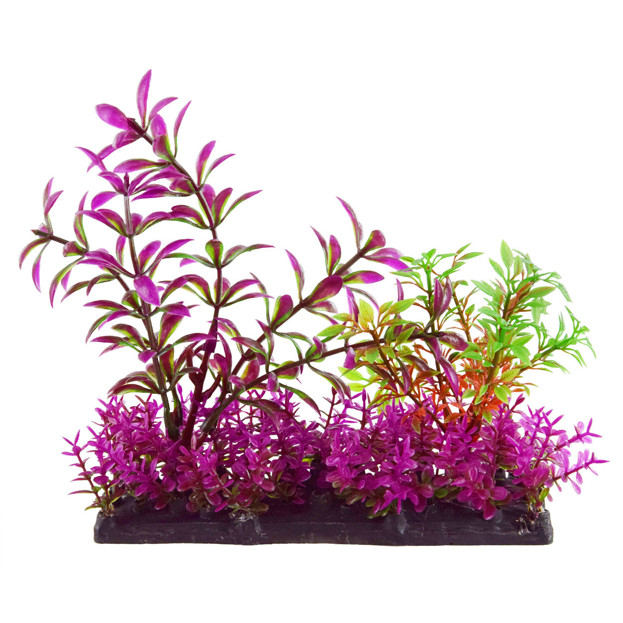 underwater-treasures-purple-garden-mix