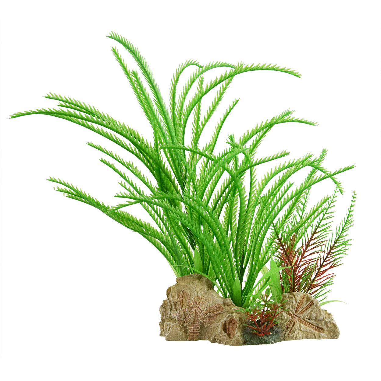 underwater-treasures-sawblade-ferns