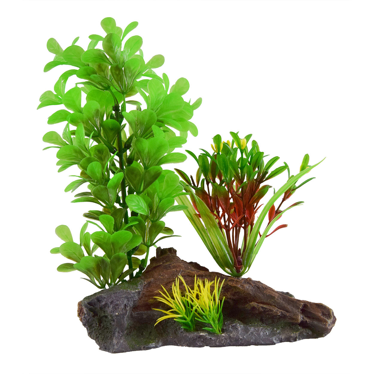 underwater-treasures-green-ludwigia-on-wood
