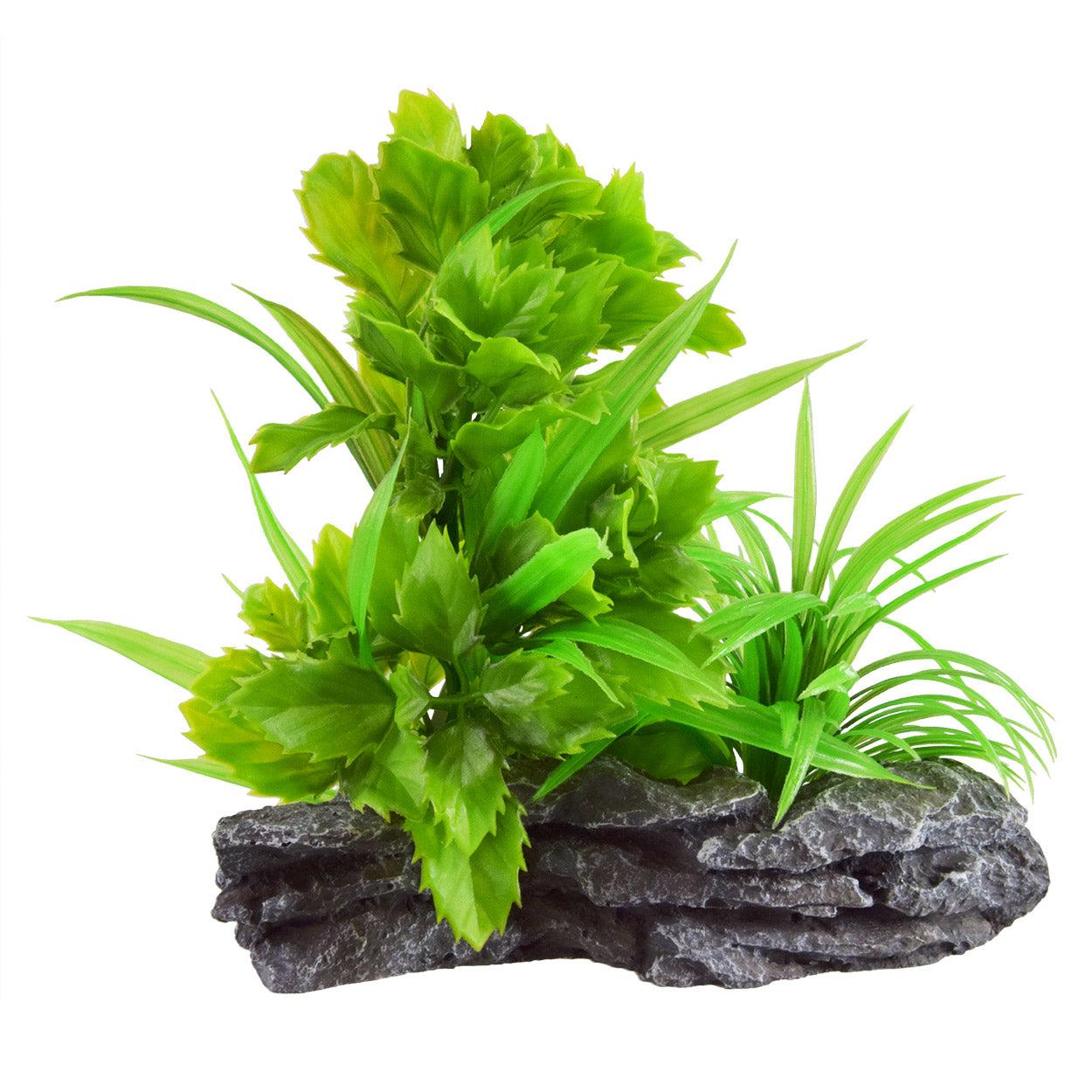 underwater-treasures-broadleaf-mound