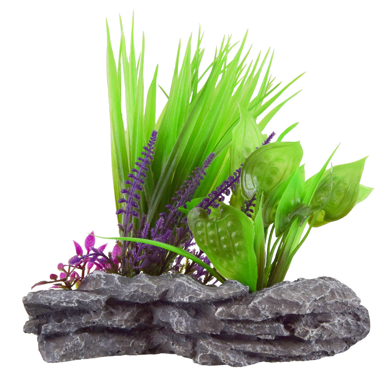 underwater-treasures-sagittaria-mound