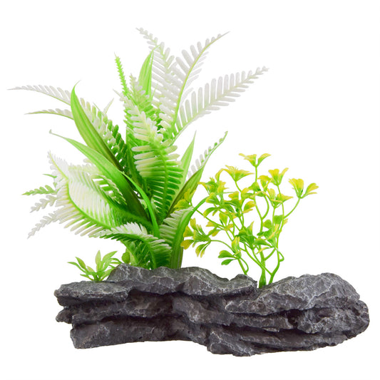 underwater-treasures-fern-mound