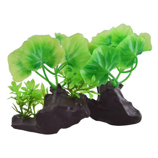 underwater-treasures-crinkle-leaf-plant