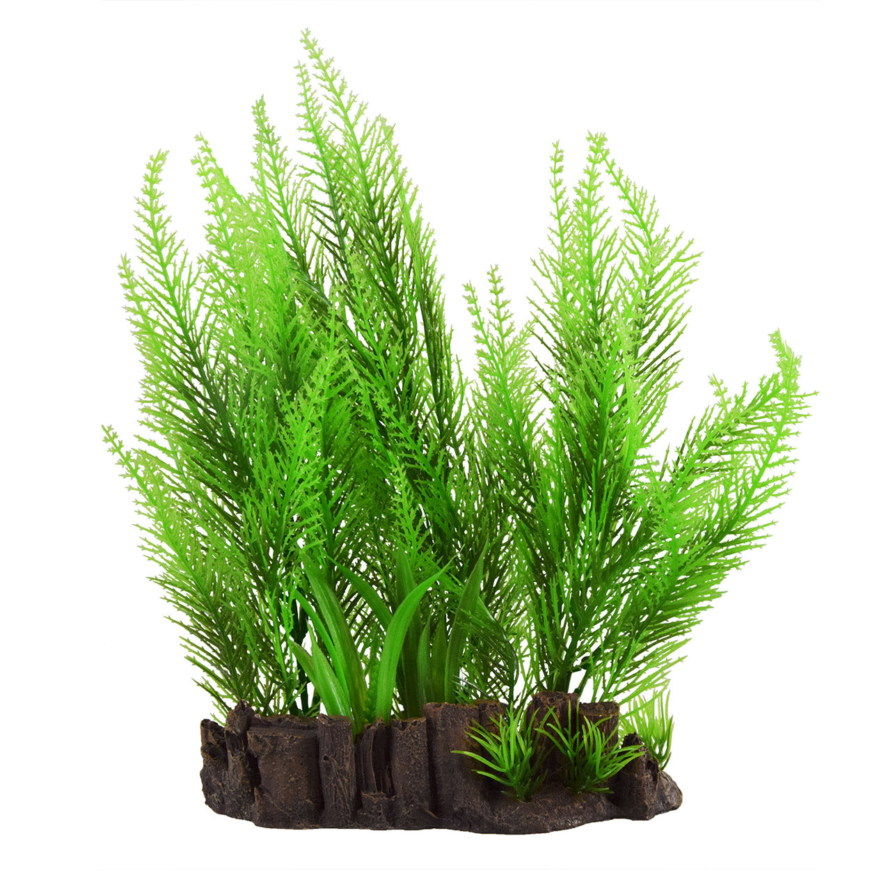 underwater-treasures-feather-ferns