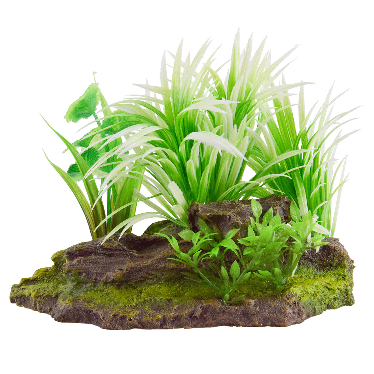 underwater-treasures-silver-sag