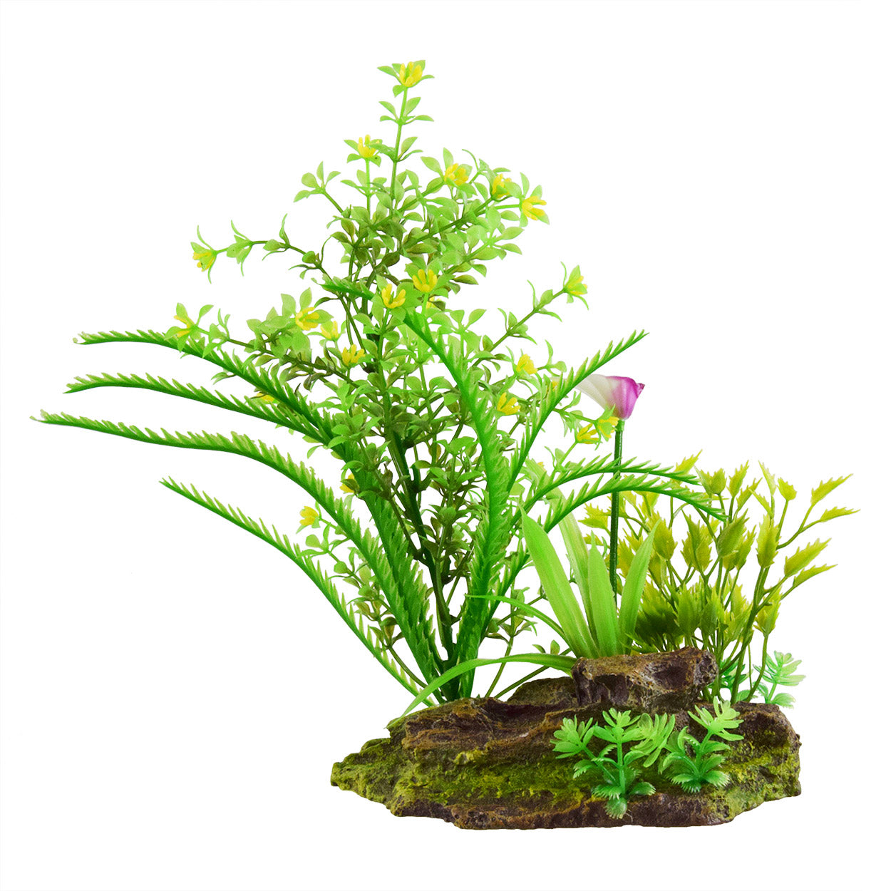 underwater-treasures-flowering-plants