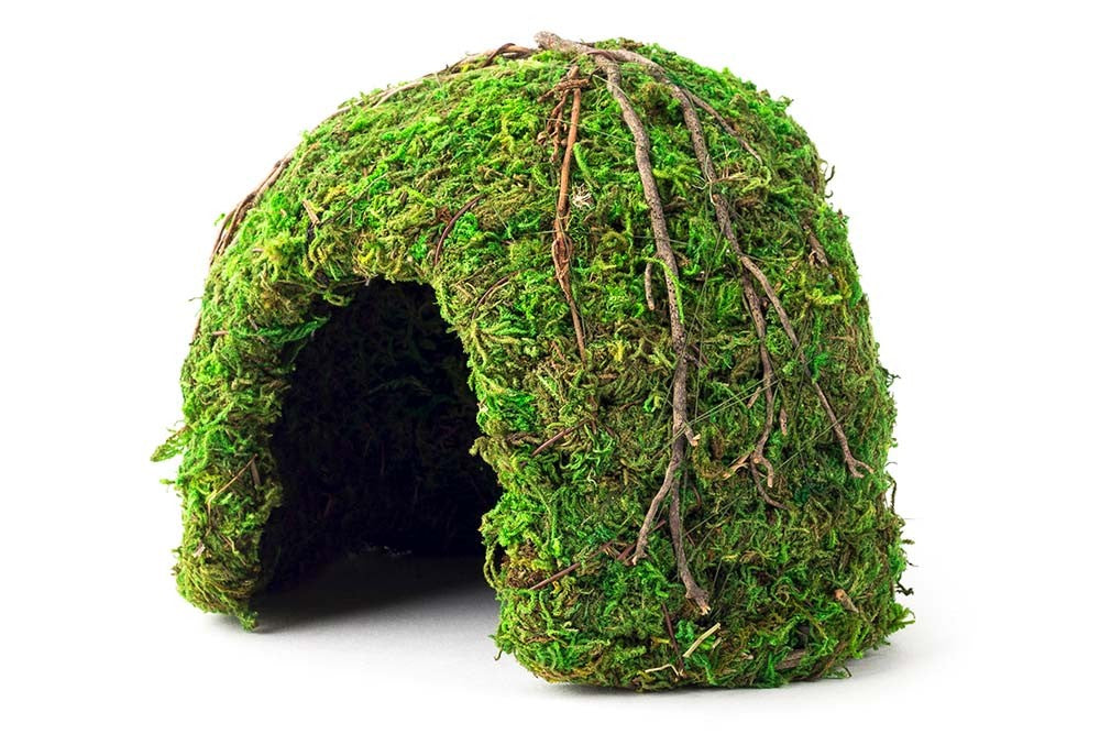 galapagos-mossy-dome-green-6-inch