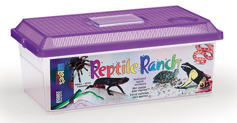 lees-reptile-ranch-small
