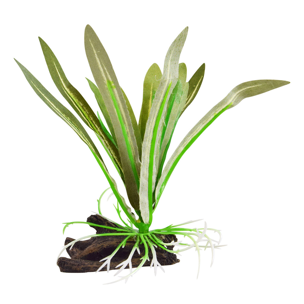 underwater-treasures-dwarf-sagittaria-silk-plant