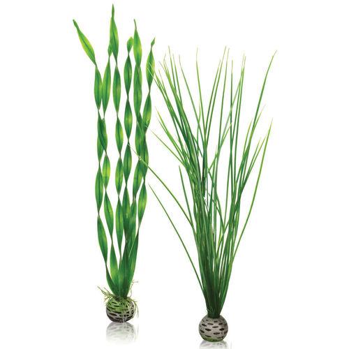 oase-biorb-large-green-plant-set