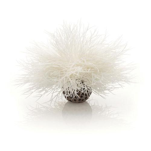 biorb-sea-lily-white