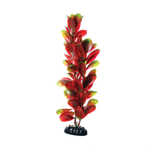 underwater-treasures-red-green-bacopa-plant-12-inch