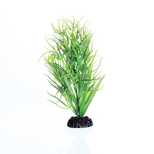 underwater-treasures-green-diandra-plant-8-inch