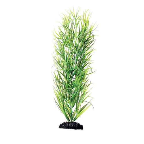 underwater-treasures-green-diandra-plant-12-inch