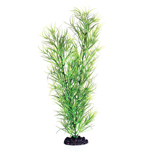 underwater-treasures-green-diandra-plant-16-inch