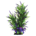 Underwater Treasures Purple Passion Plant