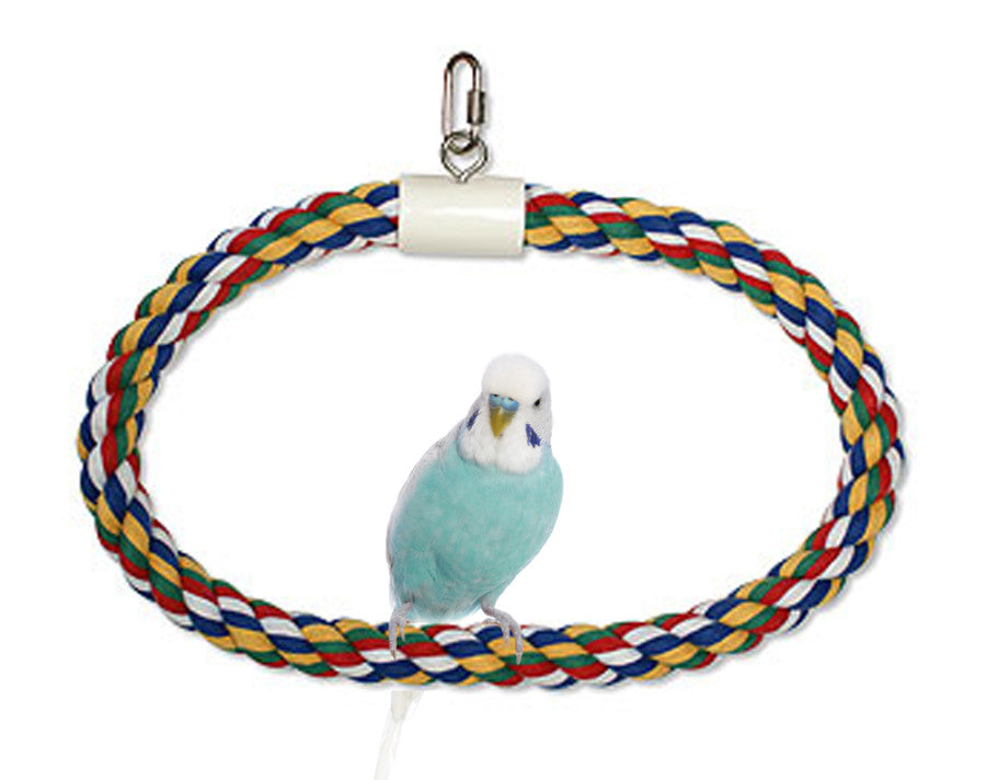 jw-pet-swing-n-perch-ring-medium