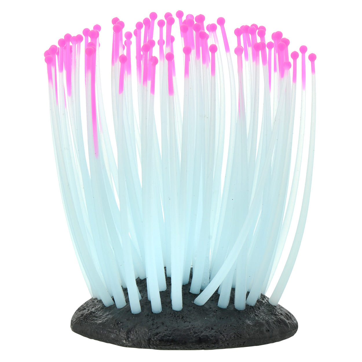 underwater-treasures-glowing-anemone-pink-small