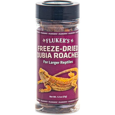 fluker-freeze-dried-dubai-roaches-1-3-oz