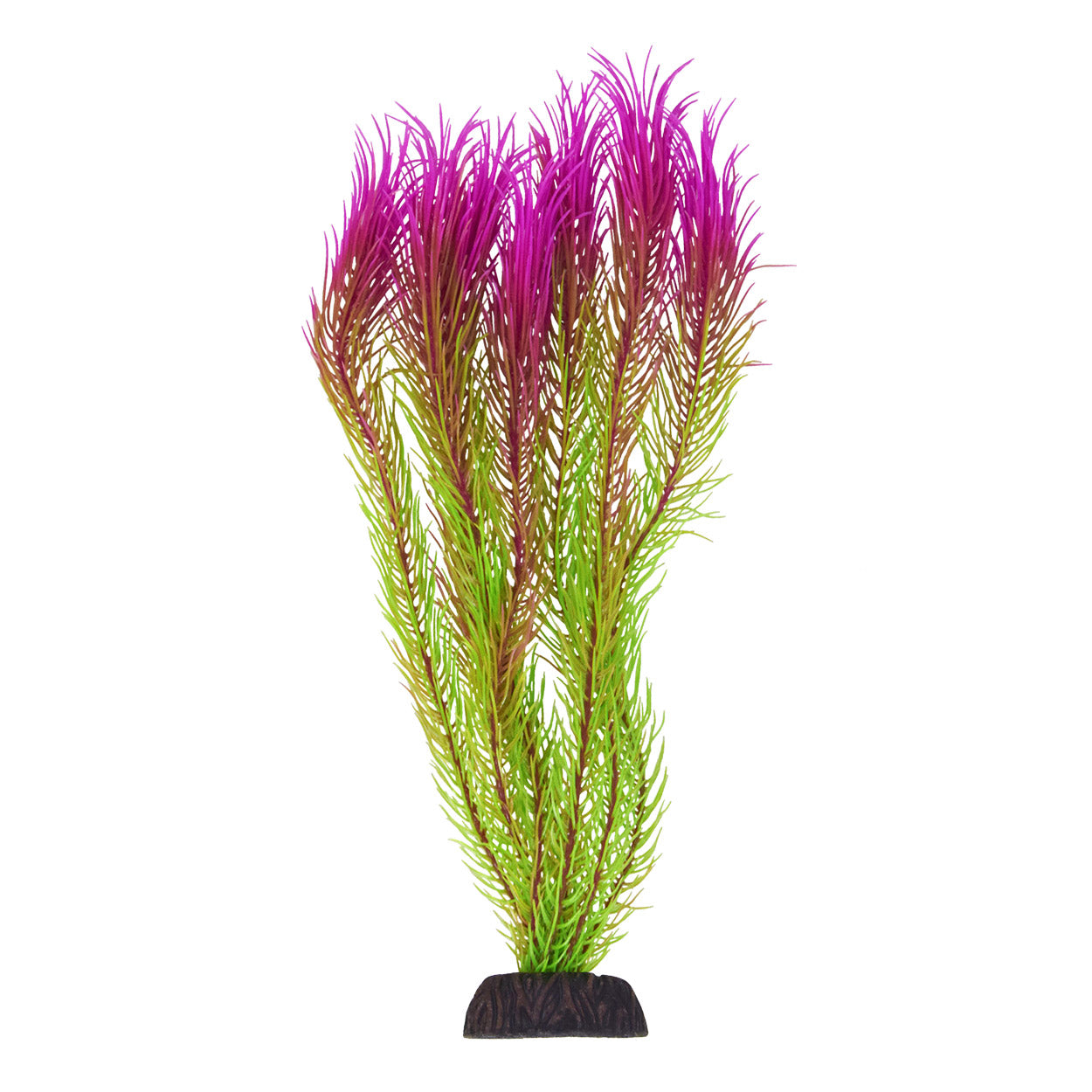 underwater-treasures-mayaca-pink-tip-plant-12-inch