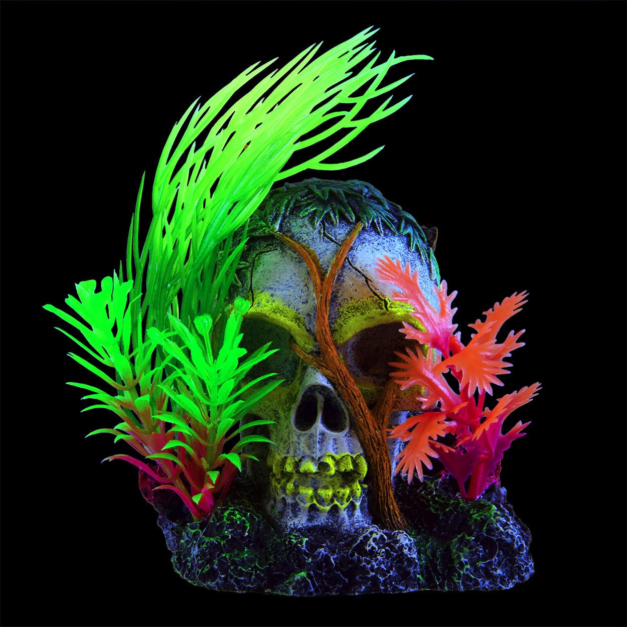 underwater-treasures-glowing-vine-skull