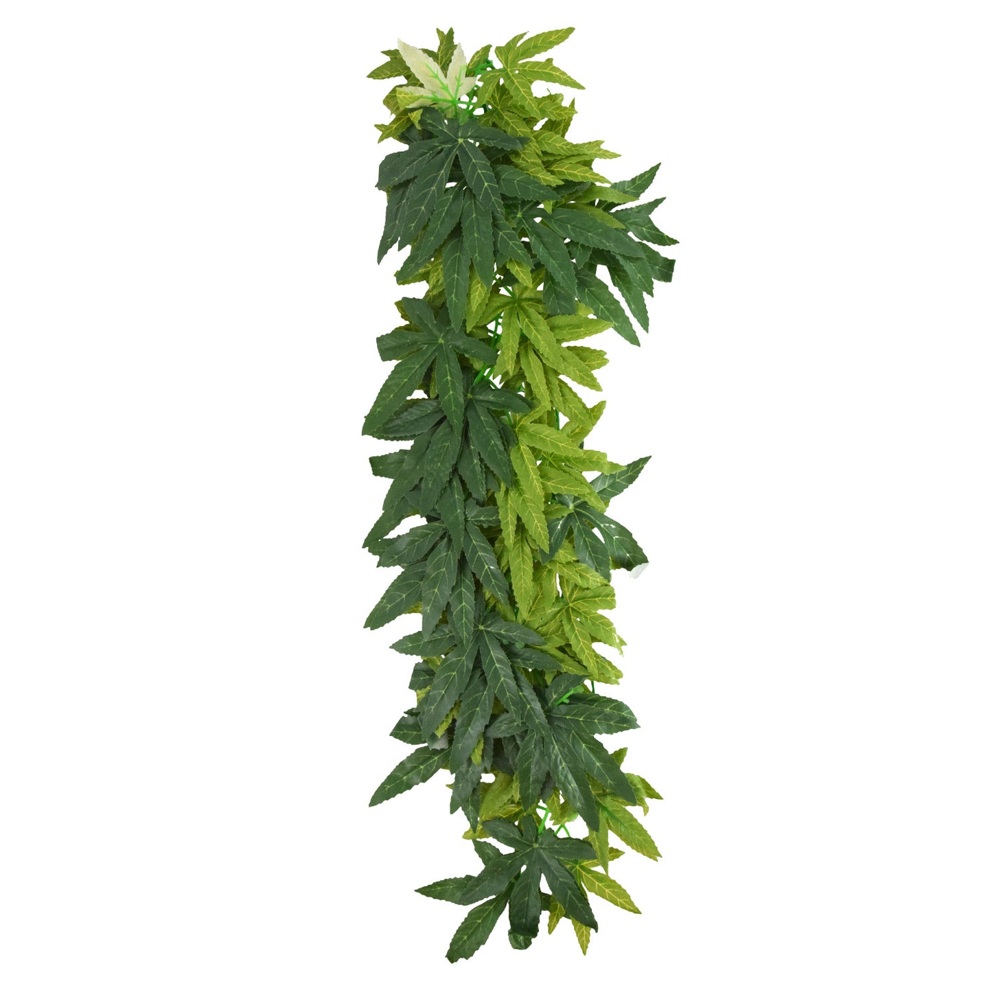 reptile-treasures-leafy-green-plant-24-inch