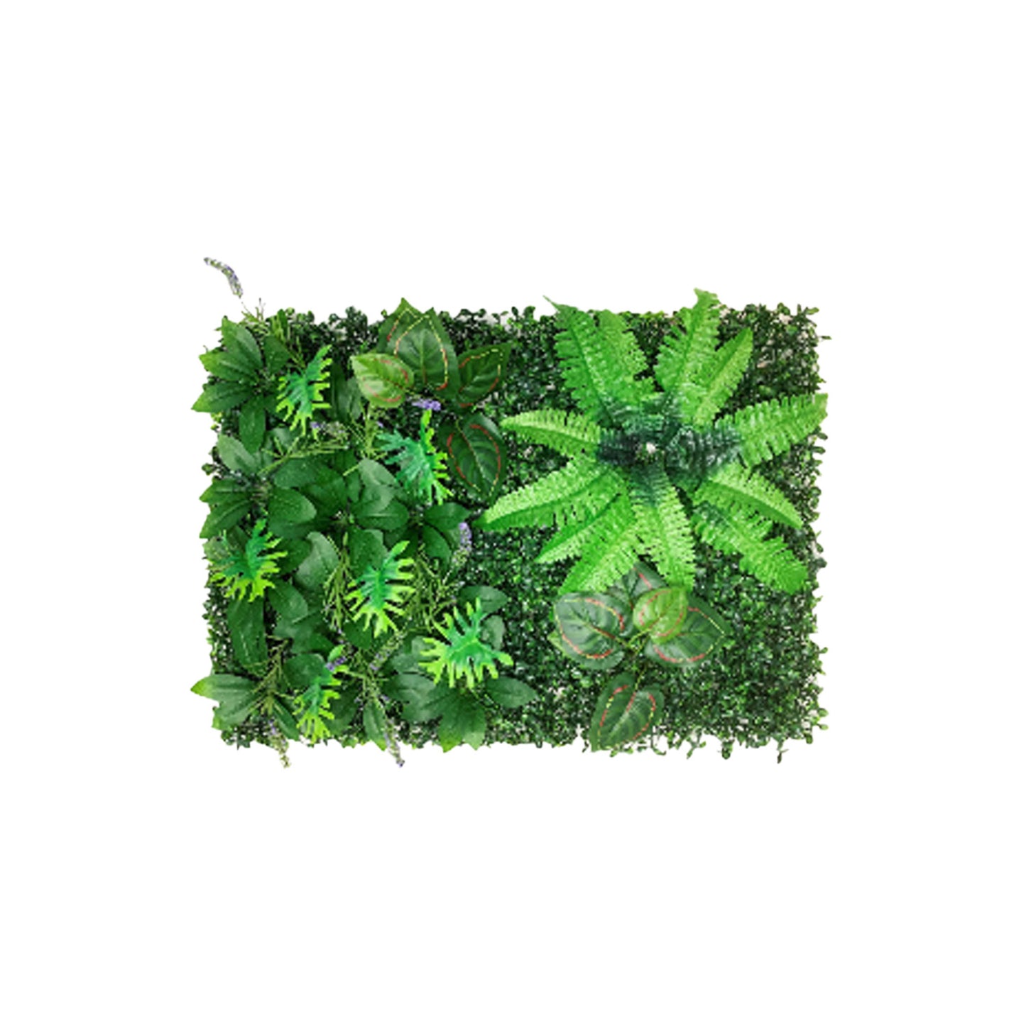 reptile-treasures-plant-mat-b-24x16
