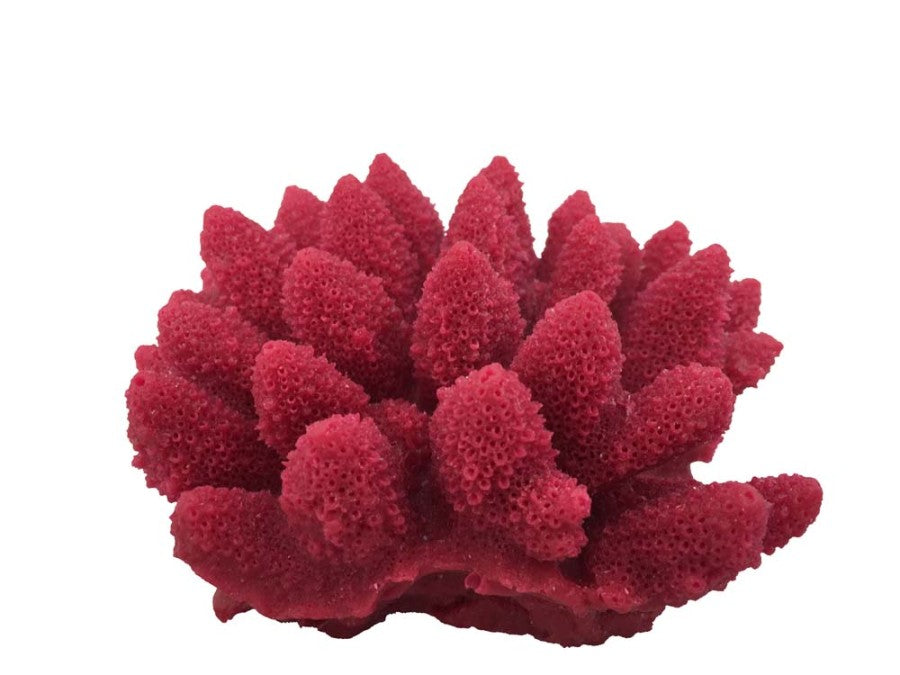 weco-south-pacific-coral-acorapora-humilis-ornament-small