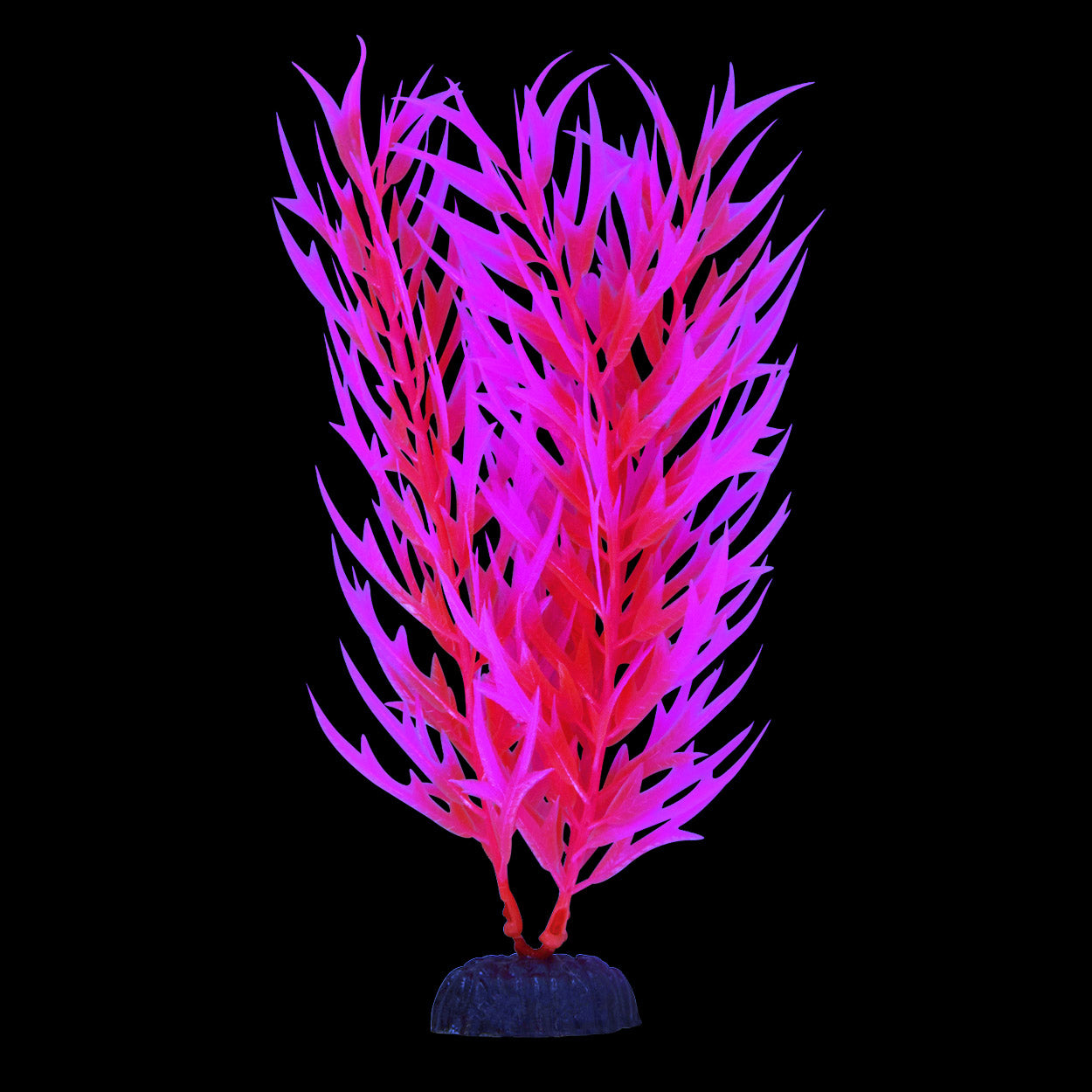 underwater-treasures-glow-bamboo-plant-pink