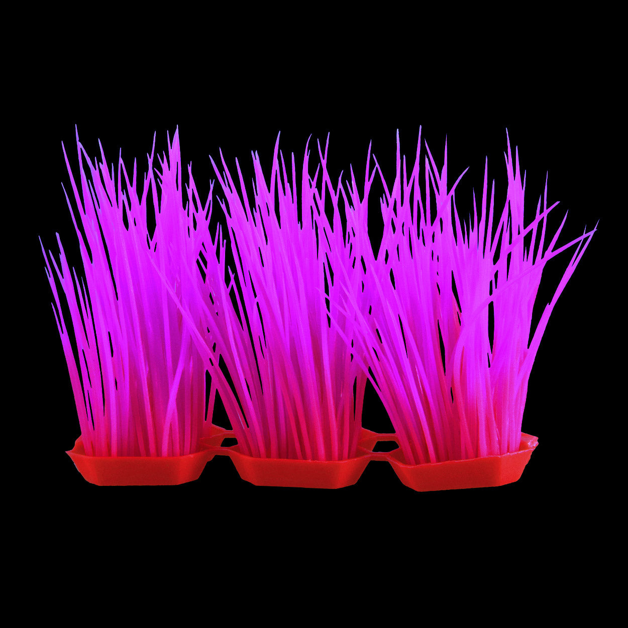 underwater-treasures-glow-hair-grass-pink