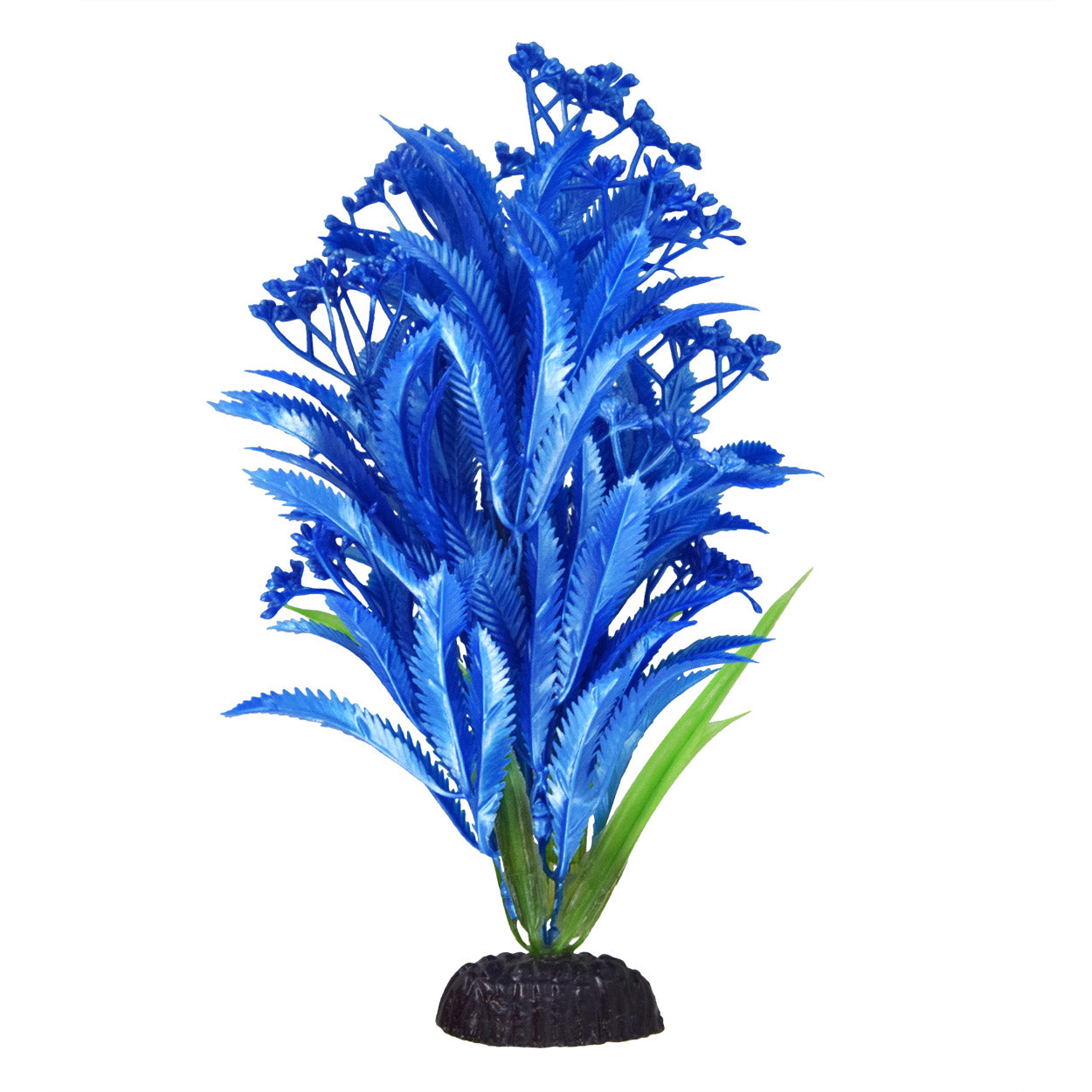 underwater-treasures-blue-paradise-plant