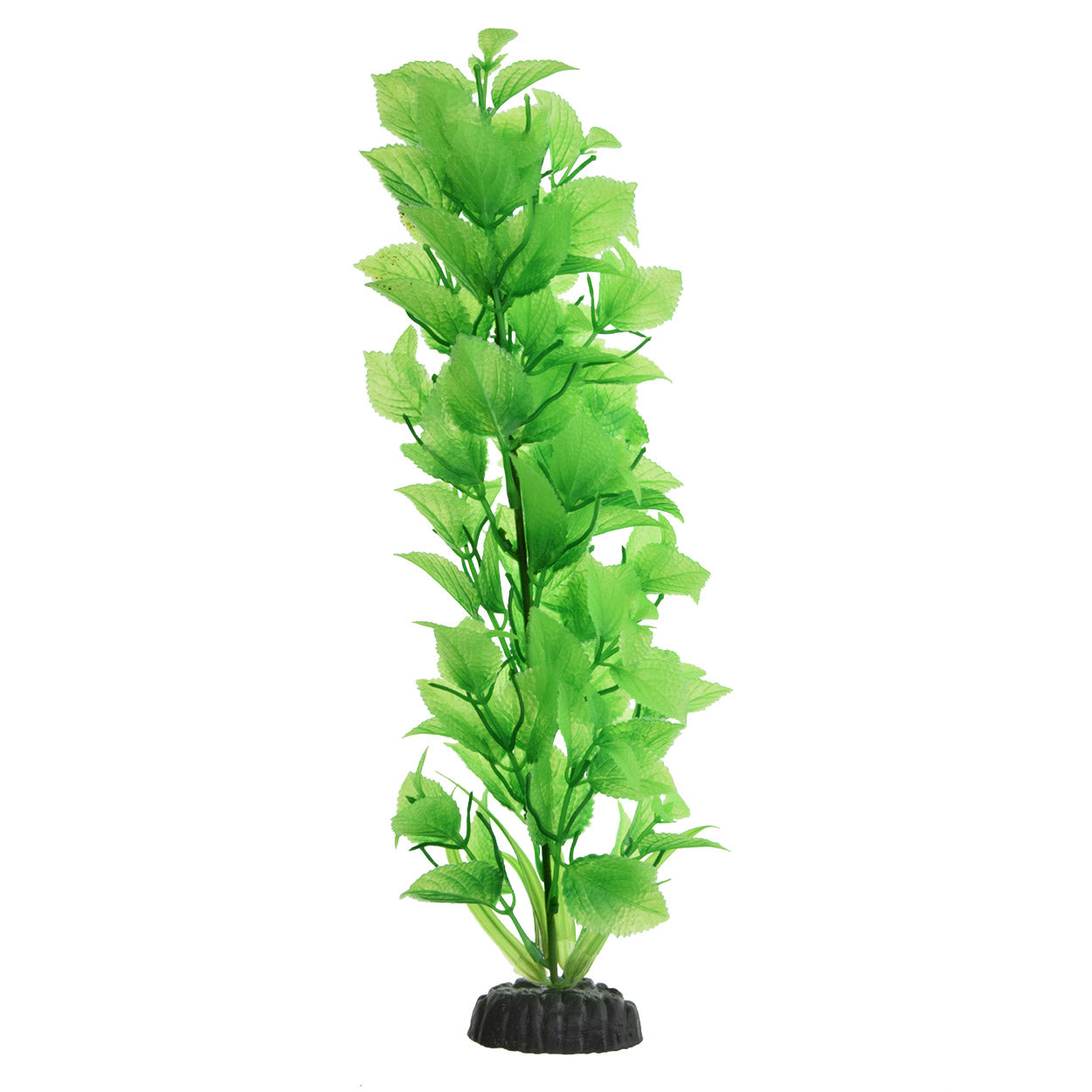 underwater-treasures-green-broadleaf-tall-plant
