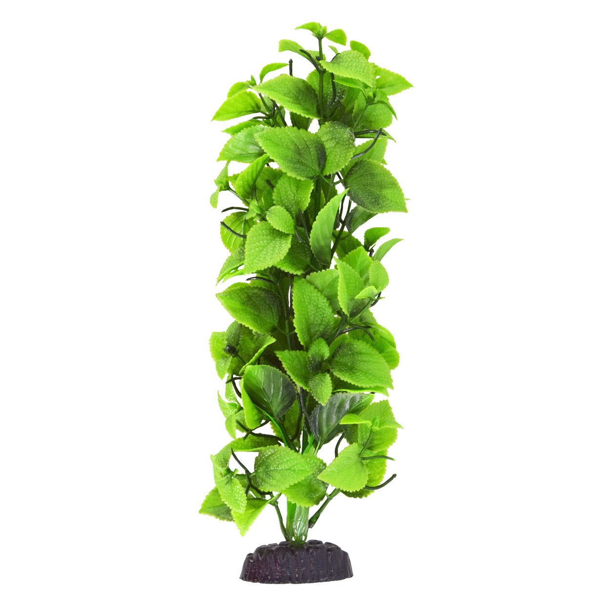underwater-treasures-hygrophillia-tall-plant
