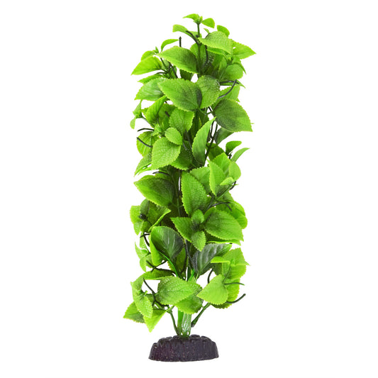 underwater-treasures-hygrophillia-tall-plant