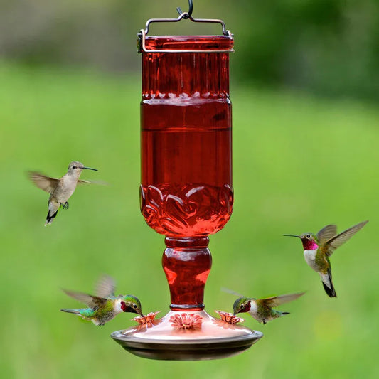 perky-pet-antique-glass-bottle-hummingbird-feeder