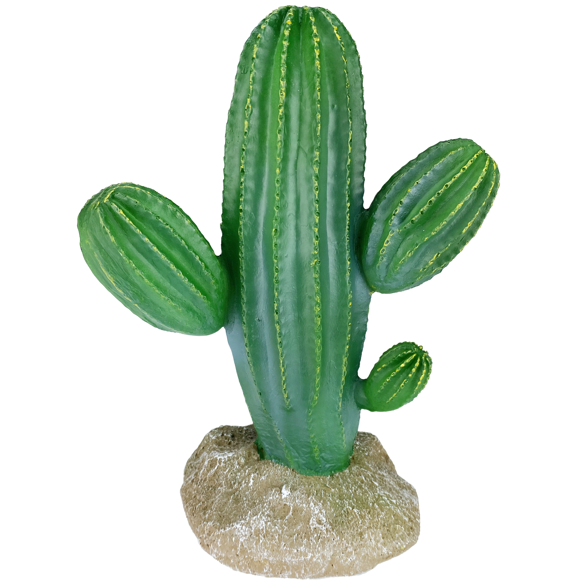 Komodo Saguaro Cactus – KensFish.com