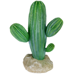 komodo-saguaro-cactus