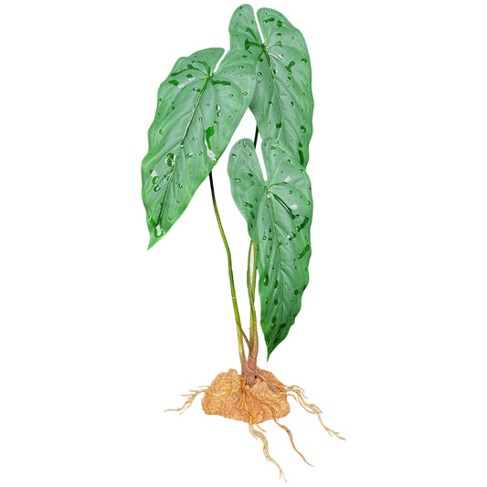 komodo-emerald-vine-standing-plant-18-inch