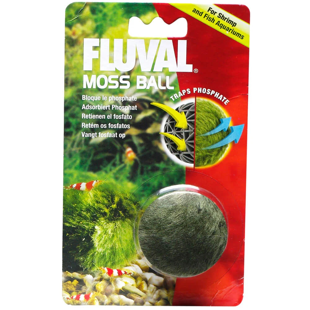 fluval-moss-ball