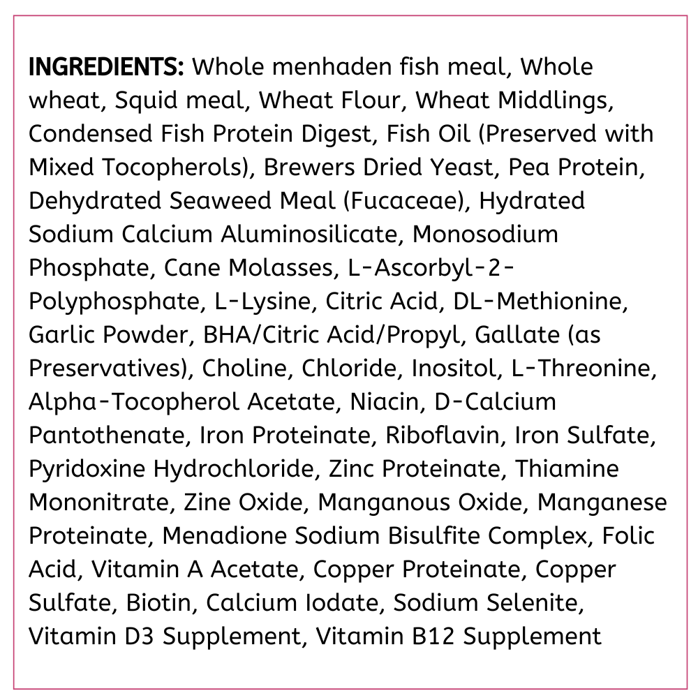 api-bottom-feeder-squid-ingredients