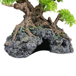 komodo-bonsai-tree-hide-large