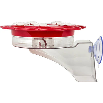 Nature's Way 2 in 1 Plastic Dish Hummingbird Feeder