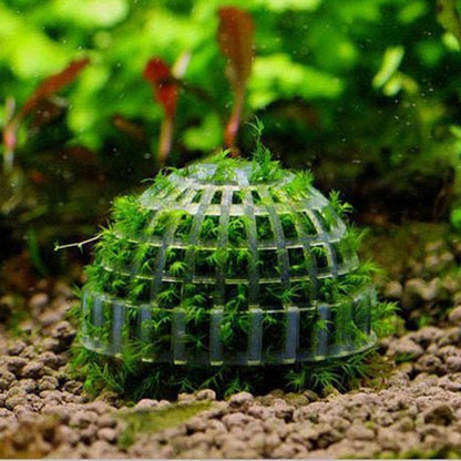 kens-aquarium-moss-ball-holder-plant