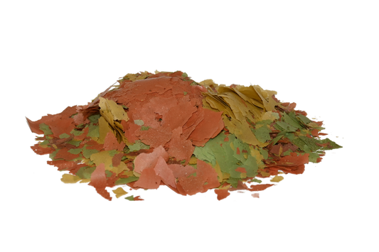 kens-tropical-fish-flake