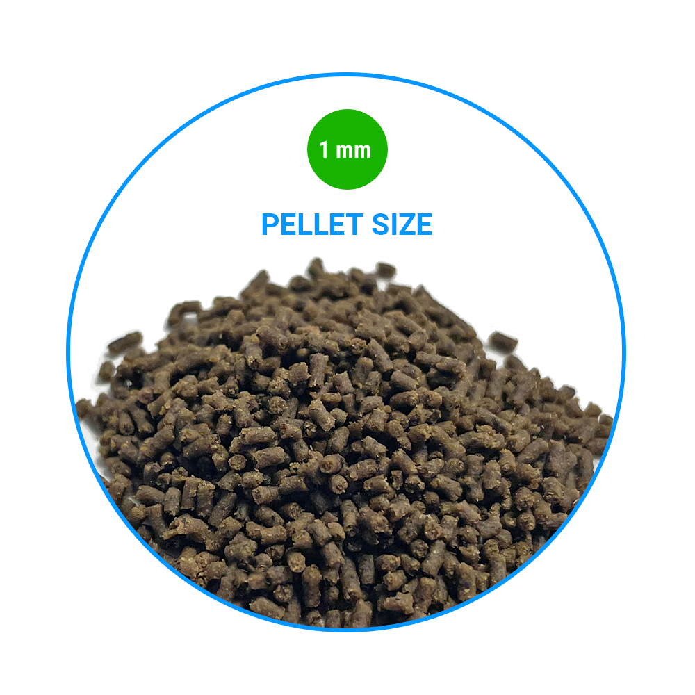vitalis-marine-algae-pellets-1-mm-food